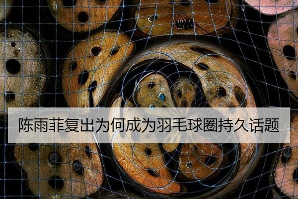 陈雨菲复出为何成为羽毛球圈持久话题