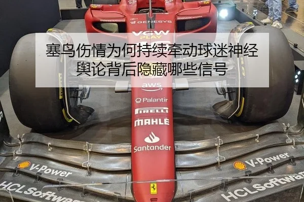 塞鸟伤情为何持续牵动球迷神经 舆论背后隐藏哪些信号